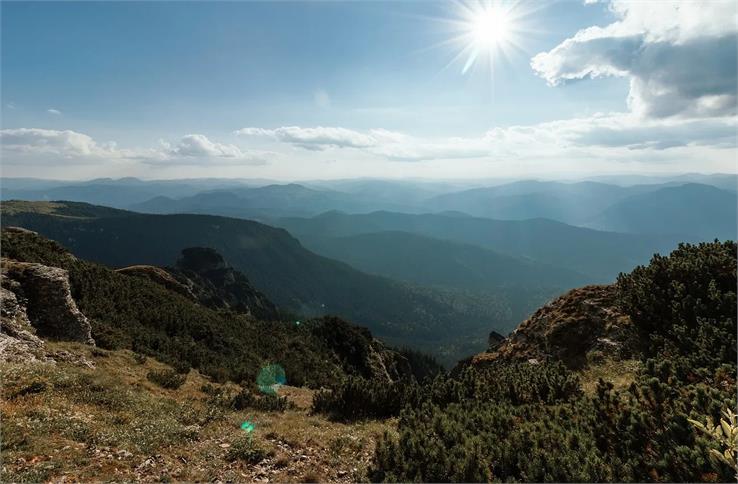 Kasauli nature 